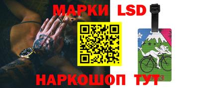 крисы Славгород