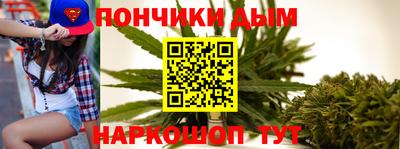 крисы Славгород