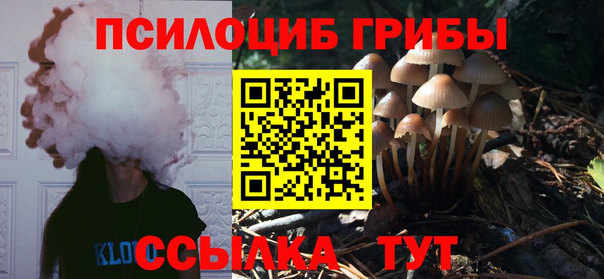 Галлюциногенные грибы GOLDEN TEACHER Новосибирск