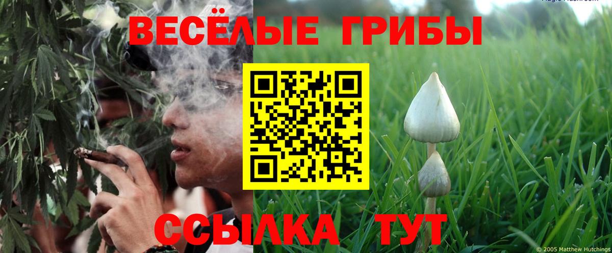 цены наркотик  Псилоцибиновые грибы мицелий  Вход с VPN  Новосибирск 